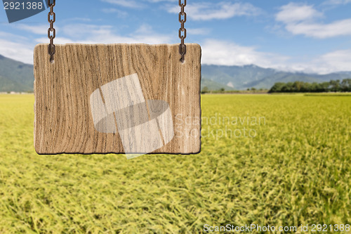 Image of Blank wooden sign