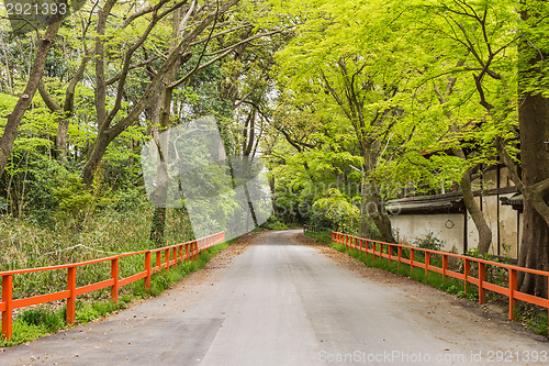 Image of boulevard