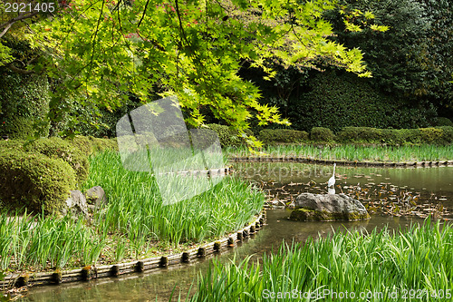 Image of grass gardening in the pond.