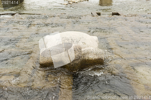 Image of stone tortoise in Kamogawa