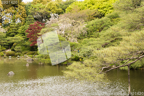 Image of The scenery of Japanese garden with the pone.