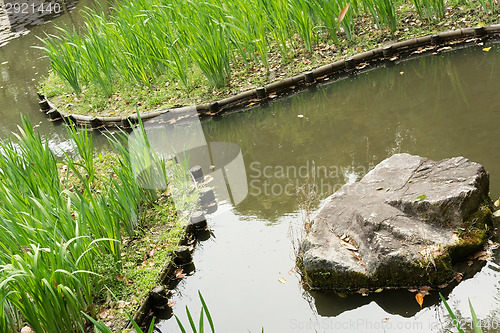 Image of The green grass gardening and stone in the pond.