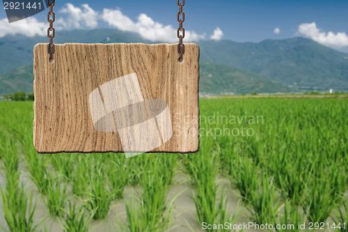 Image of Blank wooden sign