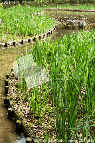 Image of The green grass gardening and stone in the pond.