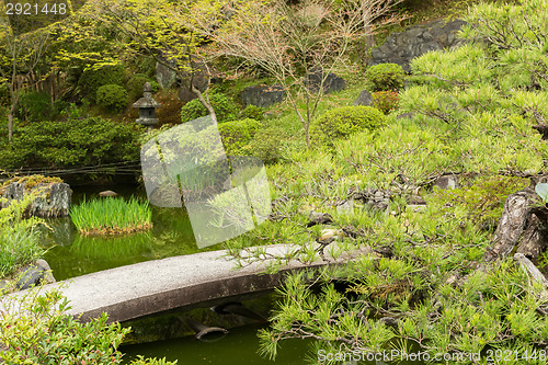 Image of Scenery Japanese garden 