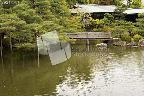 Image of The scenery of Japanese garden with the pone.