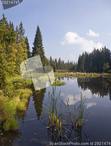 Image of Summer landscape 