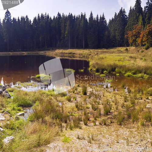 Image of Autumn landscape 