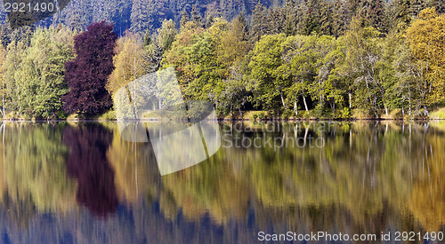 Image of Autumn landscape 