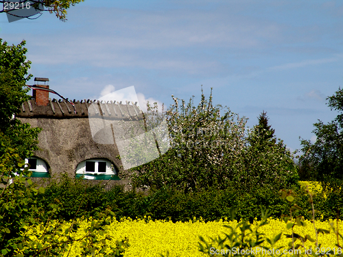 Image of reed house in may