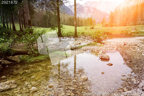 Image of water and trees