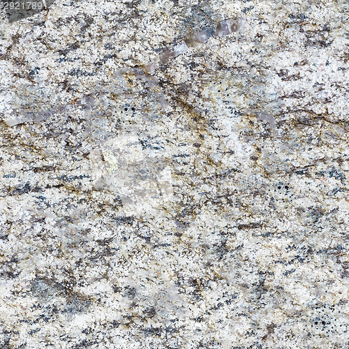 Image of Seamless texture of natural stone