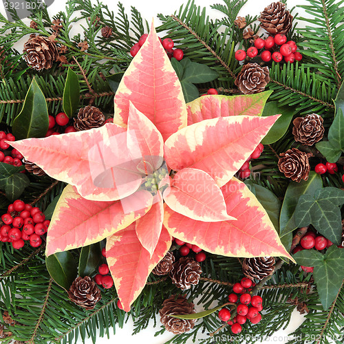 Image of Poinsettia Decoration