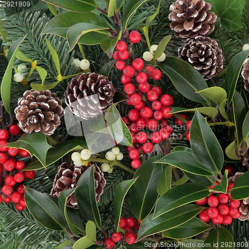 Image of Winterberry Holly