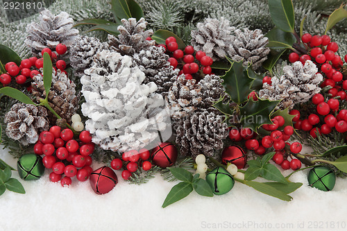 Image of Traditional Christmas Flora