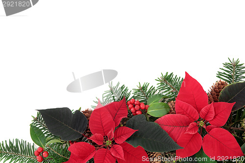 Image of Red Poinsettia Flower Border