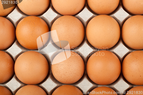 Image of Lots of eggs
