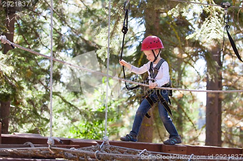 Image of boy at adventure park