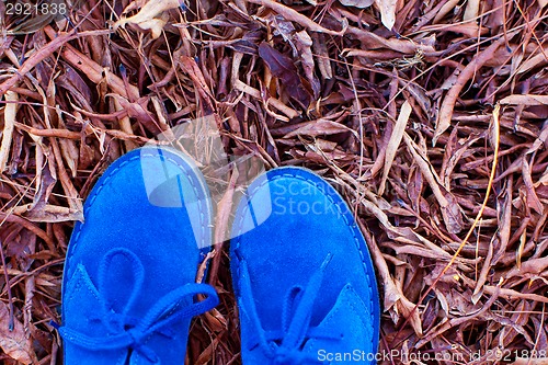 Image of close-up of shoes 