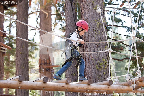 Image of kid in adventure park