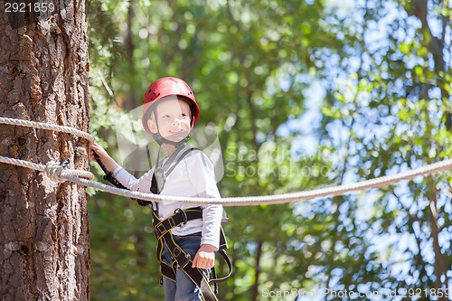 Image of boy at adventure park