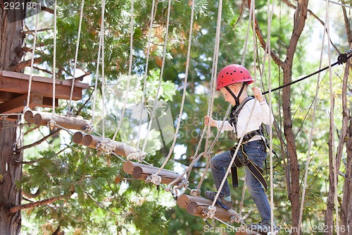 Image of kid in adventure park