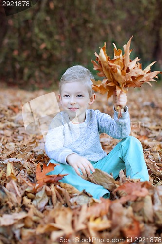 Image of kid at fall