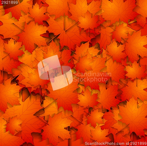 Image of Abstract autumn background with maple leaves