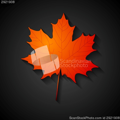 Image of Red maple leaf. Autumn background
