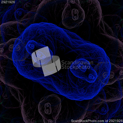 Image of Symmetrical growth of bacteria