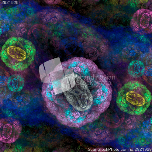 Image of Symmetrical growth of bacteria