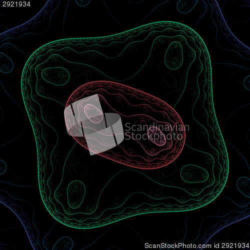 Image of Bacteria under microscope