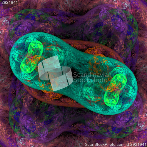 Image of Twin bacteria