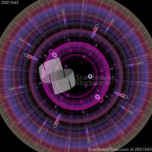 Image of Symmetrical growth of bacteria