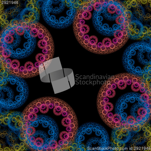 Image of Symmetrical growth of bacteria