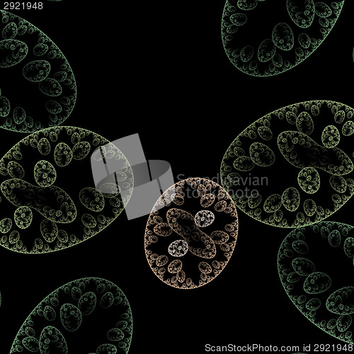 Image of Symmetrical growth of bacteria