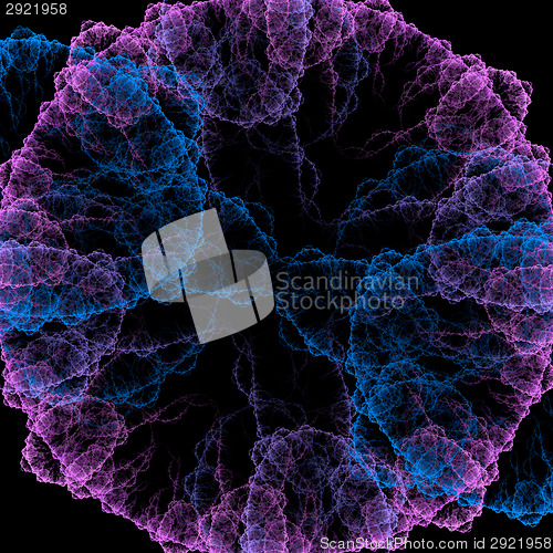 Image of Symmetrical growth of bacteria