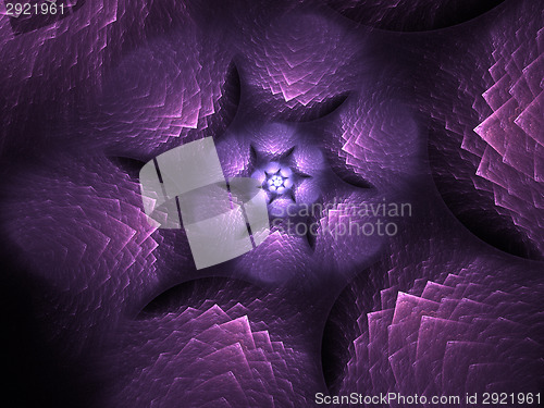 Image of Awesome Lotus flower