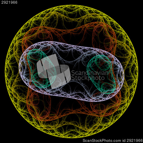 Image of Round shaped growth of bacteria