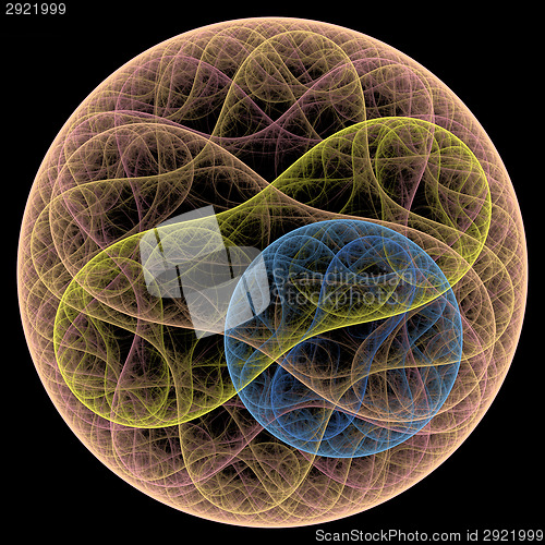 Image of Symmetrical growth of bacteria