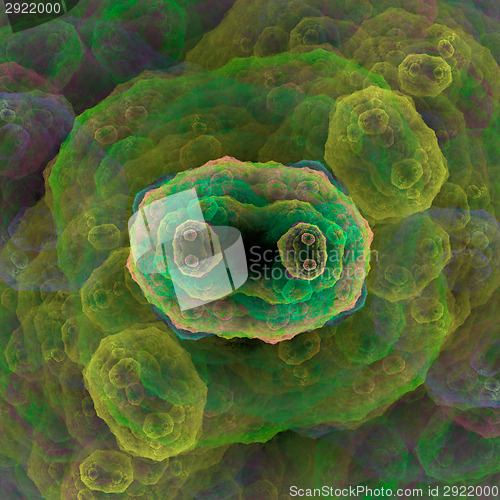 Image of Symmetrical growth of bacteria