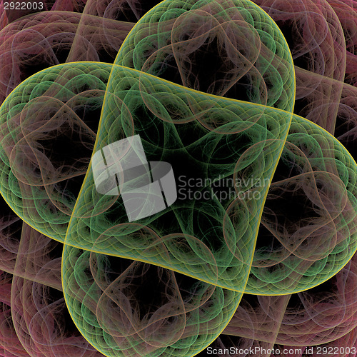 Image of Symmetrical growth of bacteria