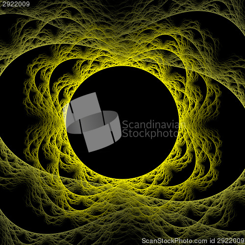 Image of Symmetrical growth of bacteria