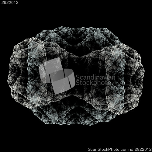 Image of Symmetrical growth of bacteria