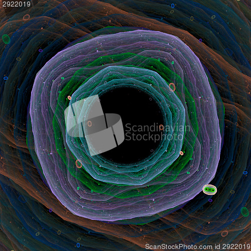 Image of Symmetrical growth of bacteria