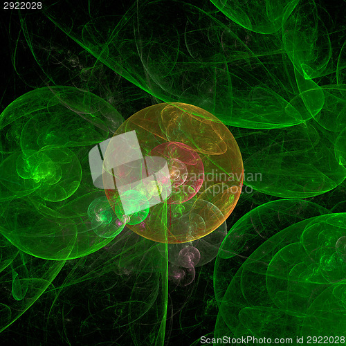 Image of Symmetrical growth of bacteria