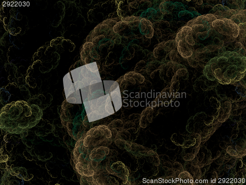 Image of Symmetrical growth of bacteria