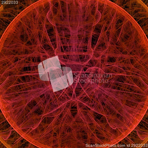 Image of Symmetrical growth of bacteria