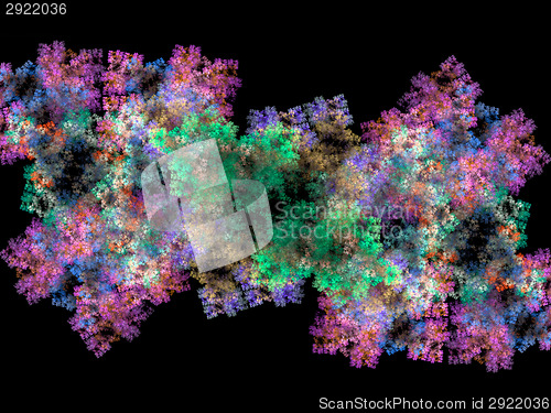 Image of Growth of bacteria