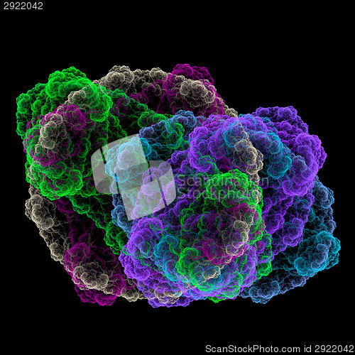 Image of Symmetrical growth of bacteria